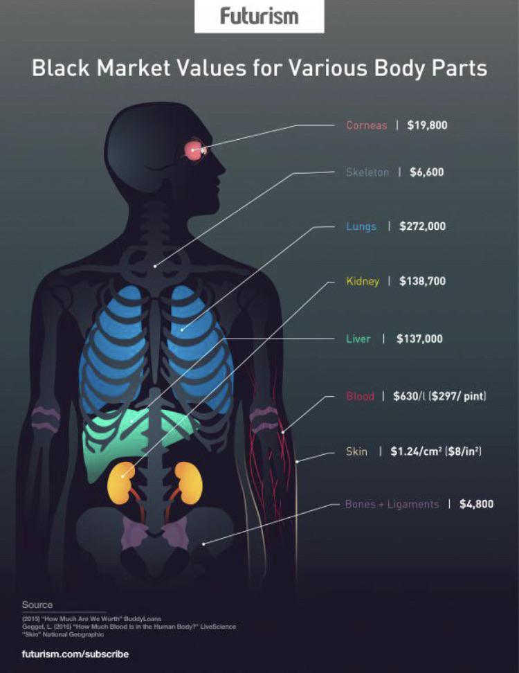 an illustration showing how much human body parts are worth