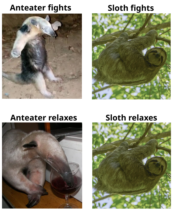 sloth v anteater