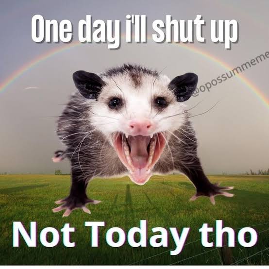 an image of an opossum, "I captioned one day I'll shut up. Not today though." By the way, sorry if this is bad etiquette for accessibility use, but could you let me know if I can provide any help as someone with some JavaScript programming experience. I promise to not be intentionally cognitively quagmired.