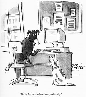 A drawing of two dogs and a computer desk, with text. One dog is on the computer chair with it's paw on the keyboard. The dogs are looking at each other. The text reads: "On the Internet, nobody knows you're a dog". looking